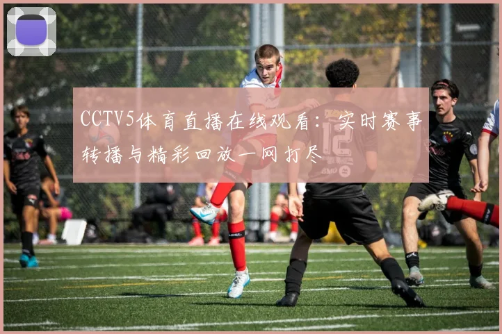 CCTV5体育直播在线观看：实时赛事转播与精彩回放一网打尽