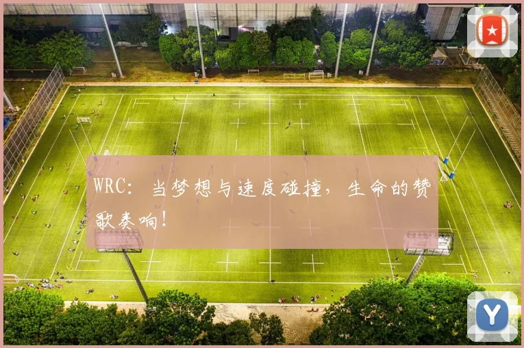 WRC:当梦想与速度碰撞,生命的赞歌奏响!