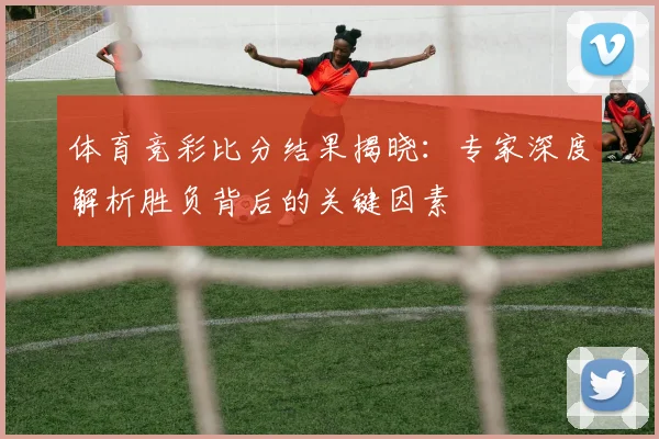体育竞彩比分结果揭晓:专家深度解析胜负背后的关键因素